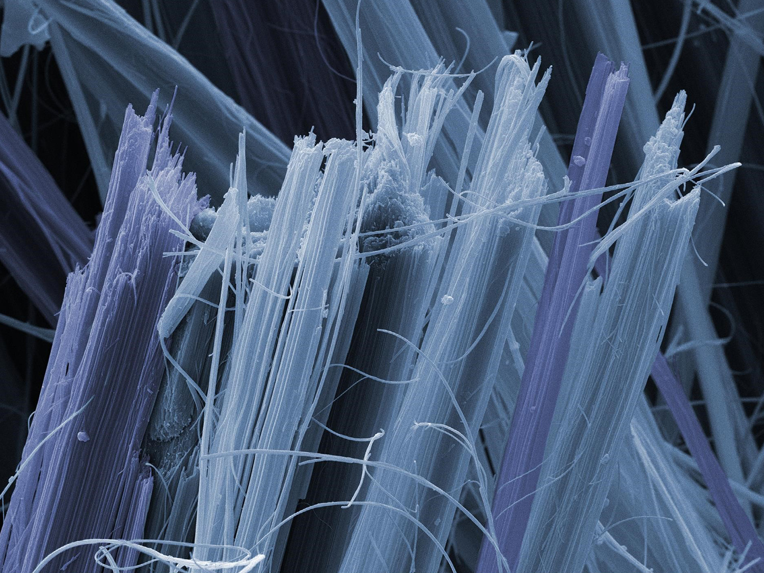 two-different-types-of-asbestos2-web.jpg
